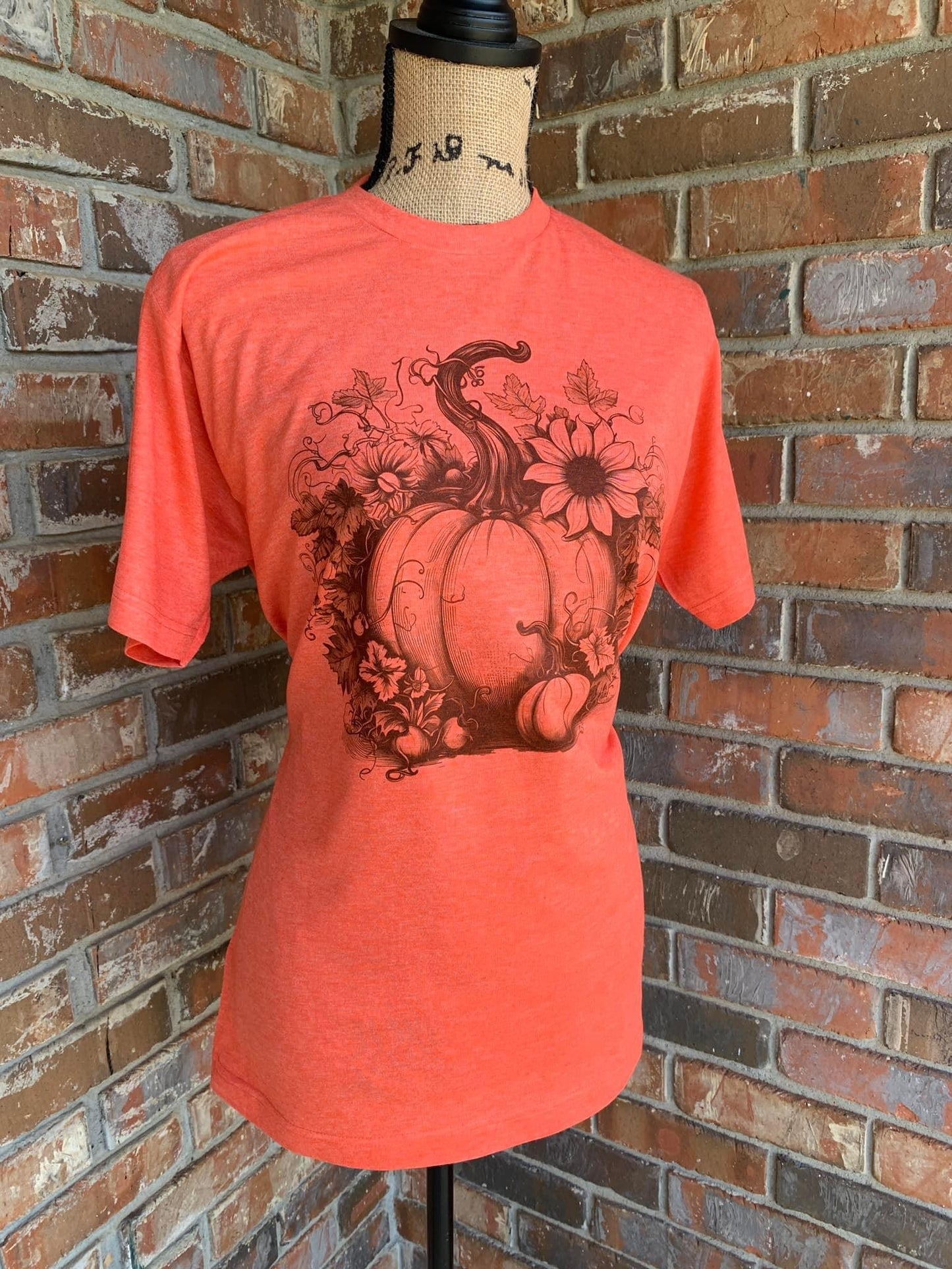 Fall pumpkins