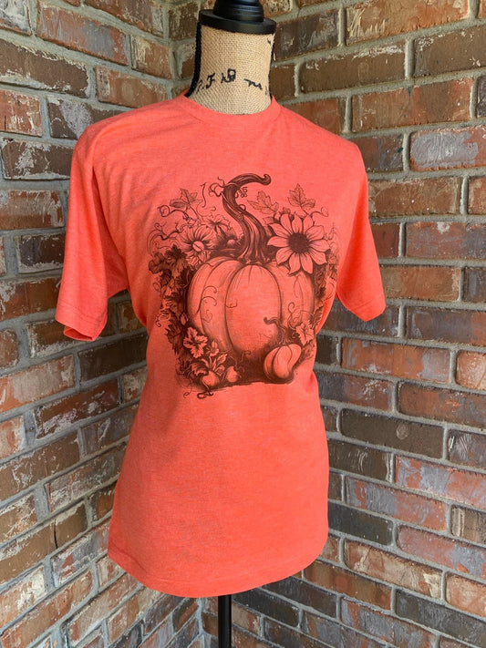 Fall pumpkins